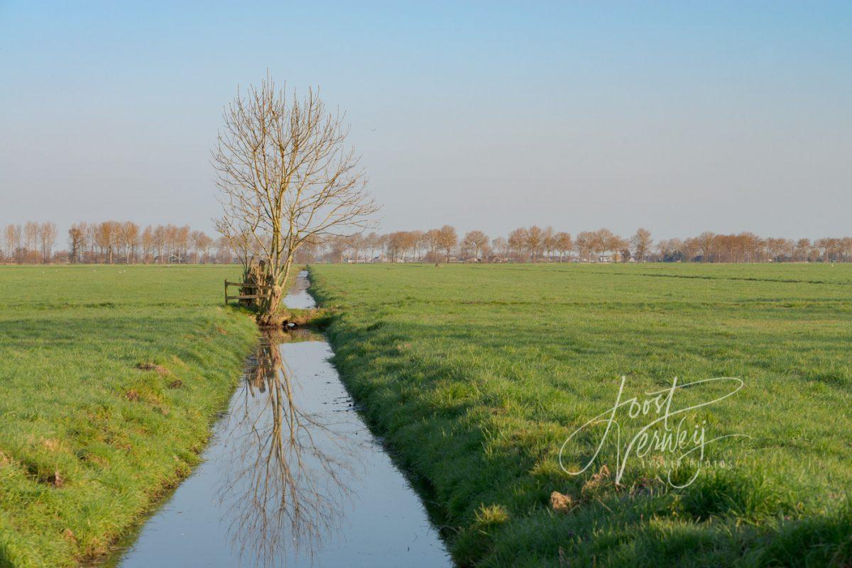 Kavelsloot in polderlandschap
