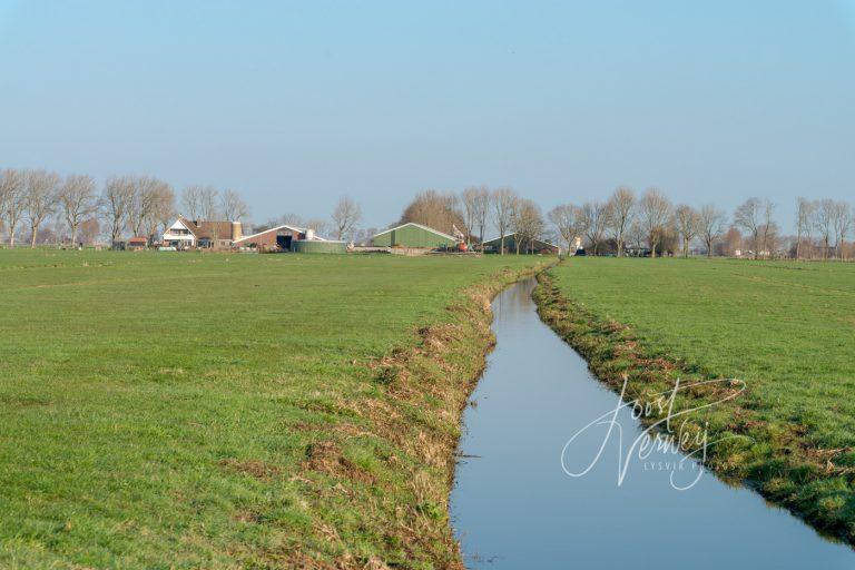 Kavelsloot in polderlandschap