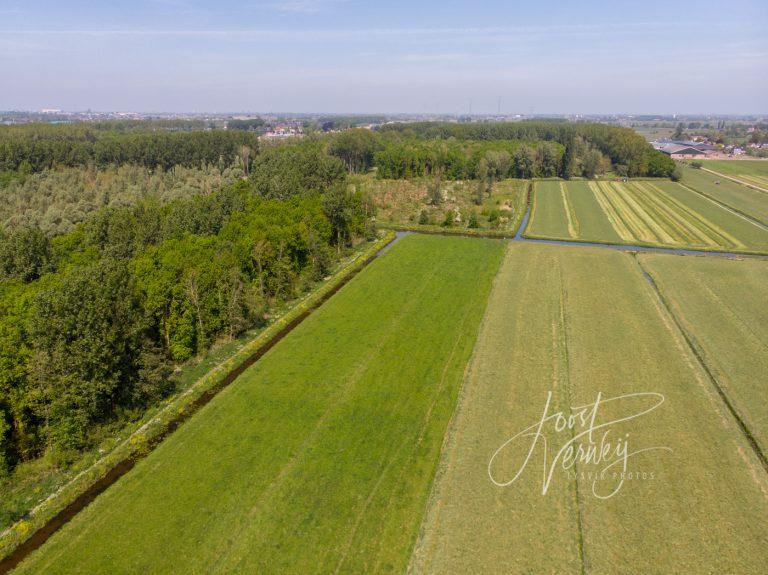 Luchtfoto Alblasserbos