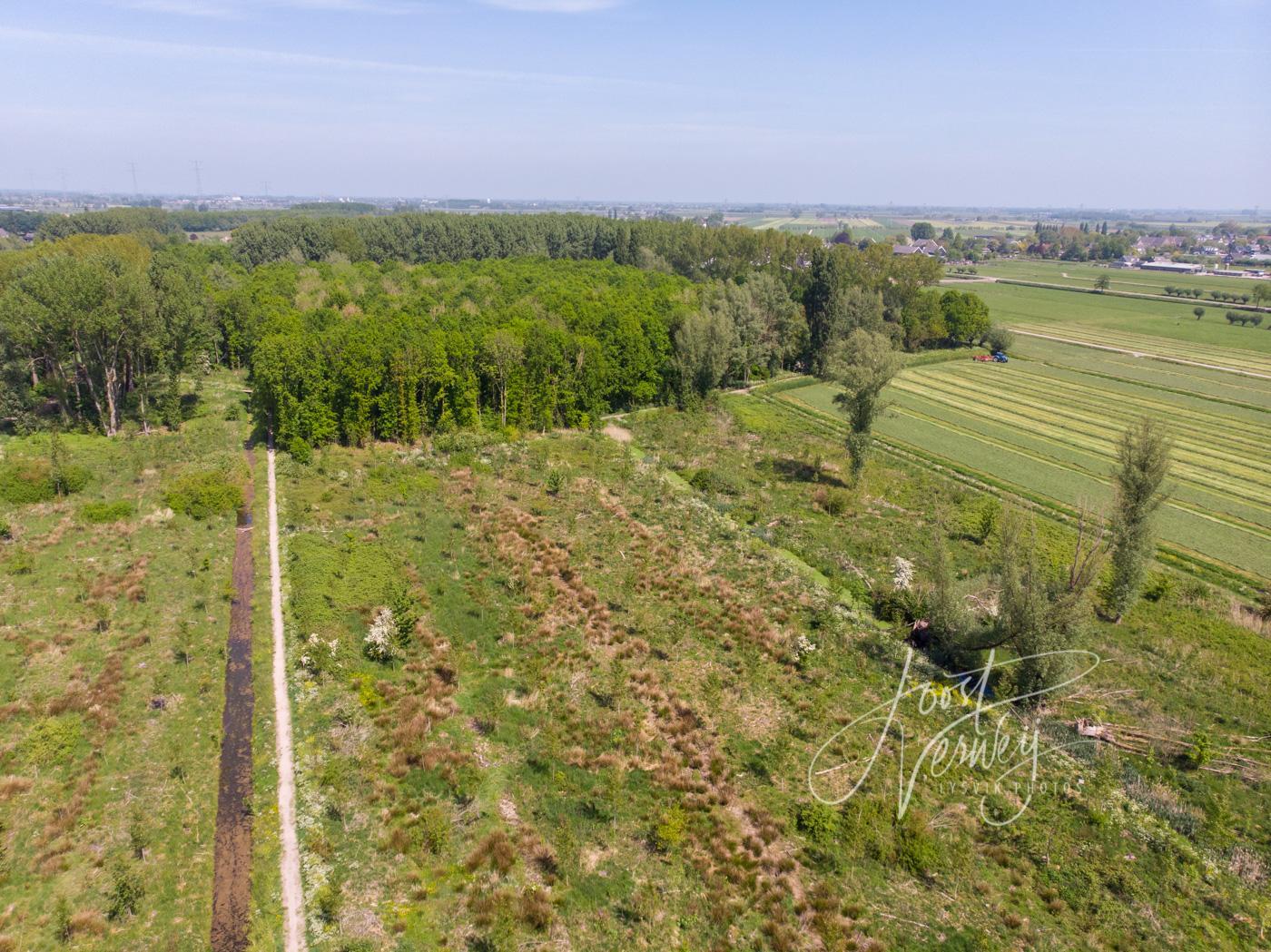 Luchtfoto Alblasserbos