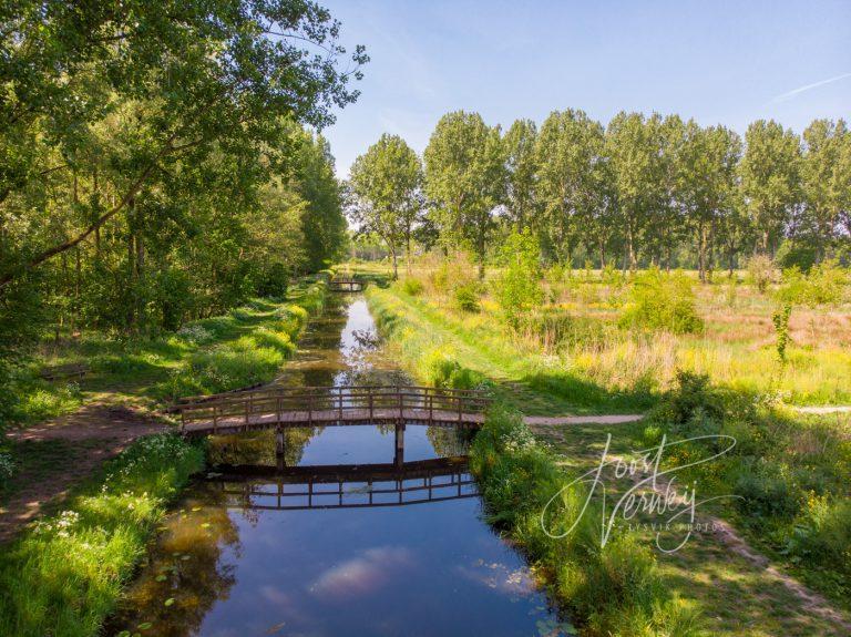 Sloot met brugetjes Alblasserbos