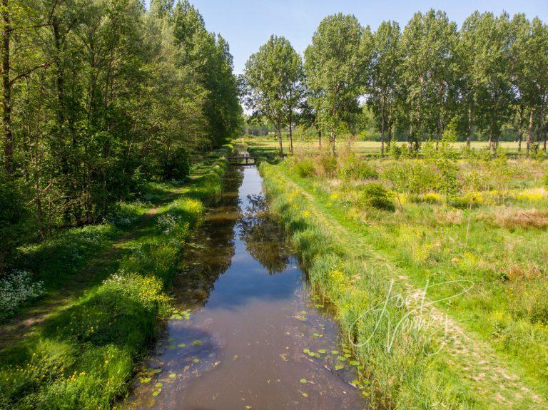 Sloot met bruggetje in Alblasserbos