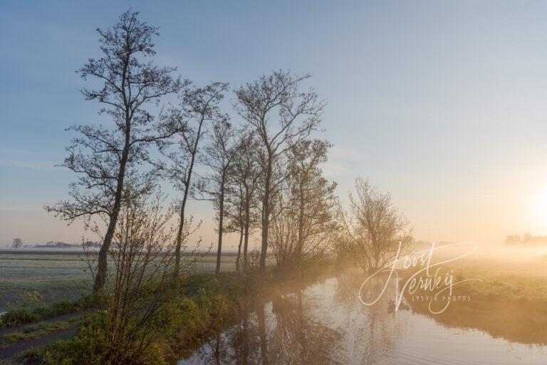 Zonsopkomst met mist in de Alblasserwaard