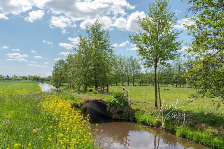 Poldersloot met bruggetje