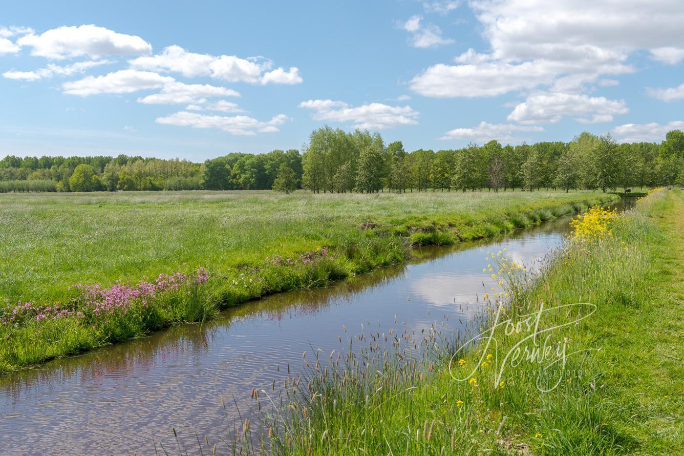 Polder Wijngaarden