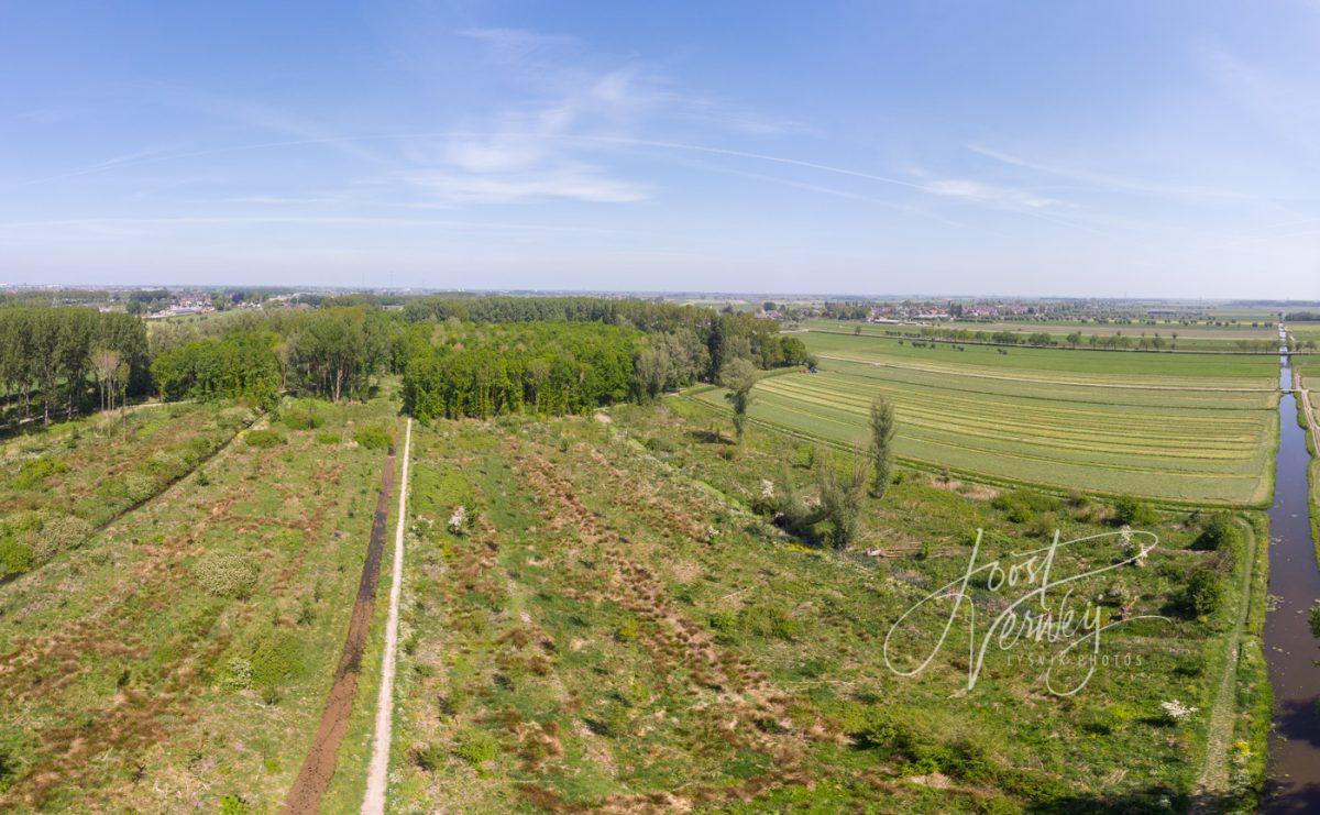 Panorama luchtfoto Alblasserbos