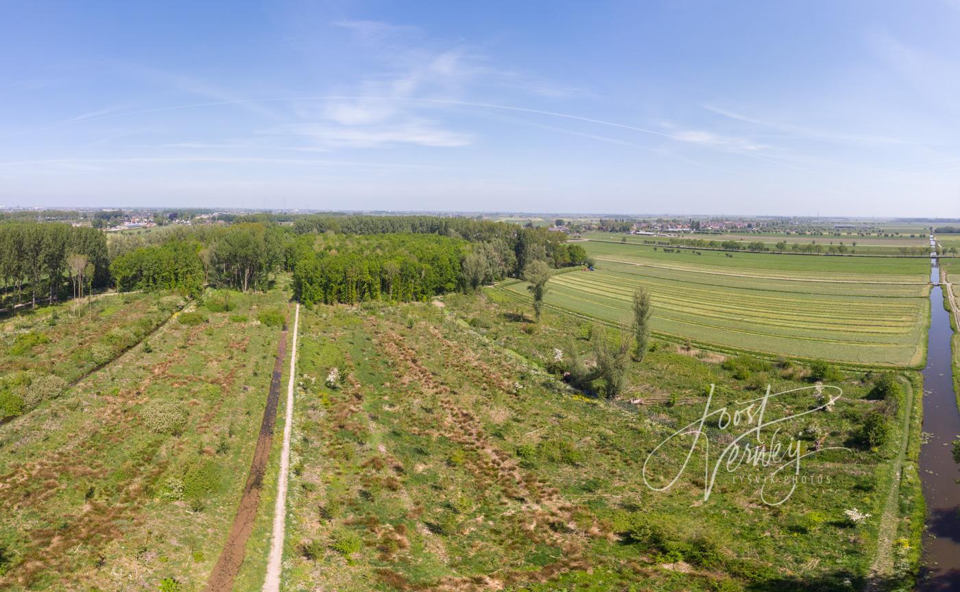 Panorama luchtfoto Alblasserbos