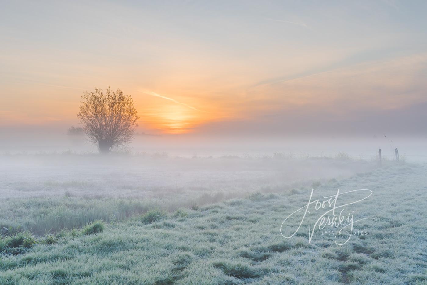 Zonsopkomst in mistig polderlandschap