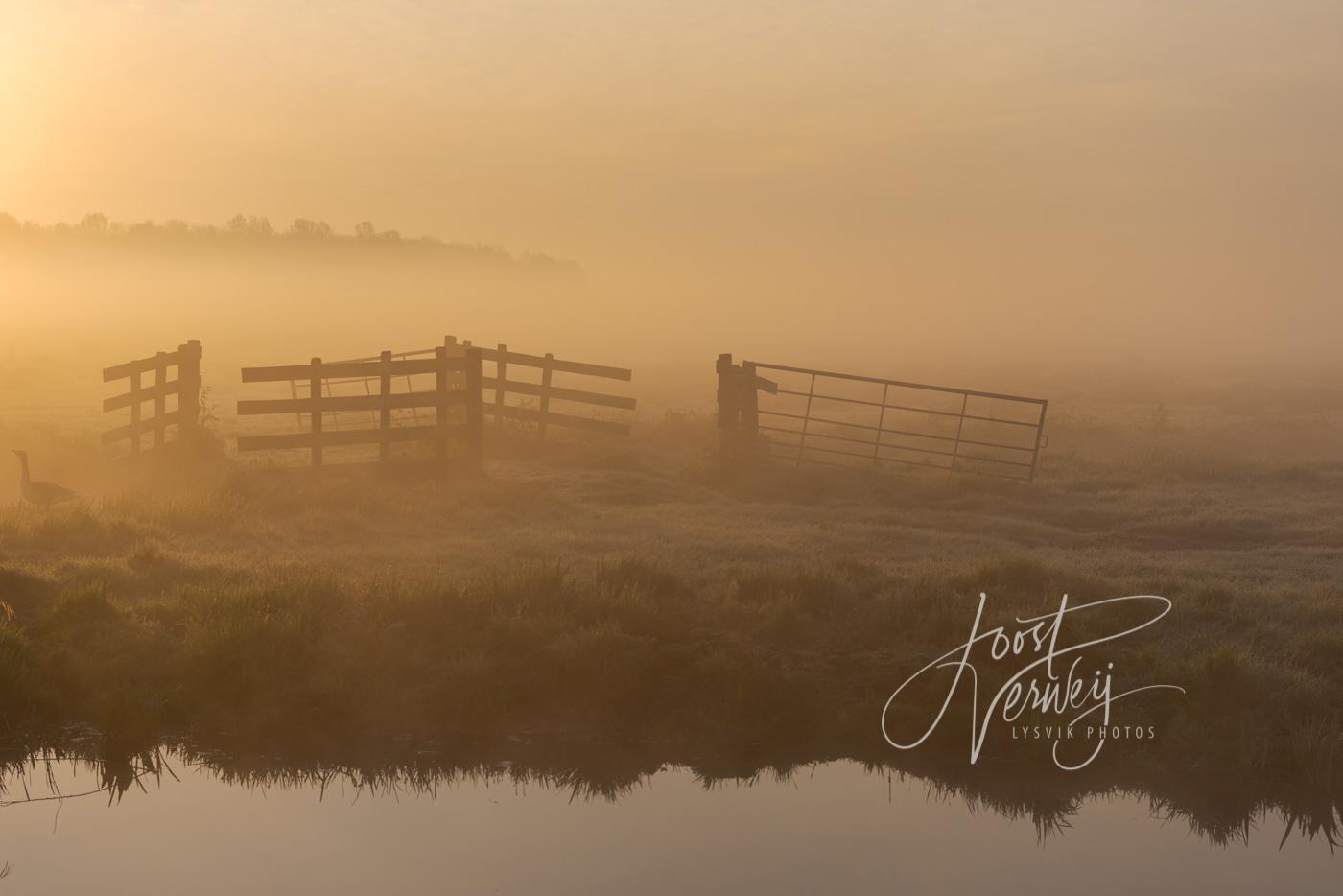 Gouden gloed in mistig landschap