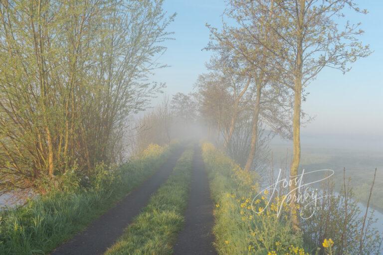 Fietspad in mistig polderlandschap