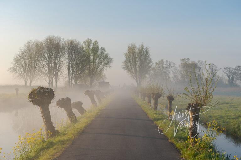 Fietspad in mistig polderlandschap