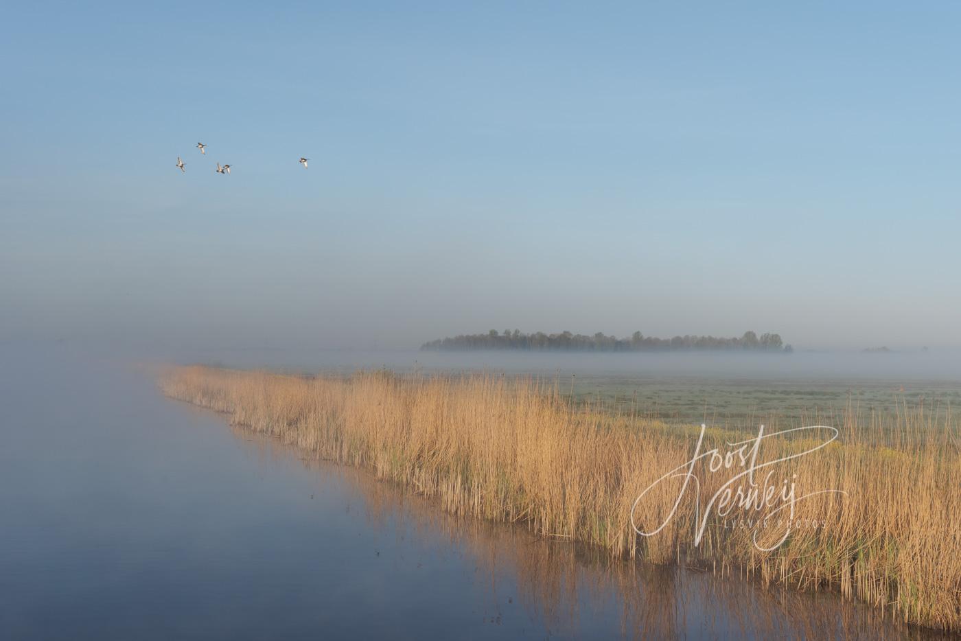 Mist in stiltegebied de Donkse Laagten