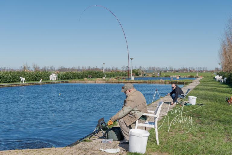 Forel aan de haak in Meerkerk