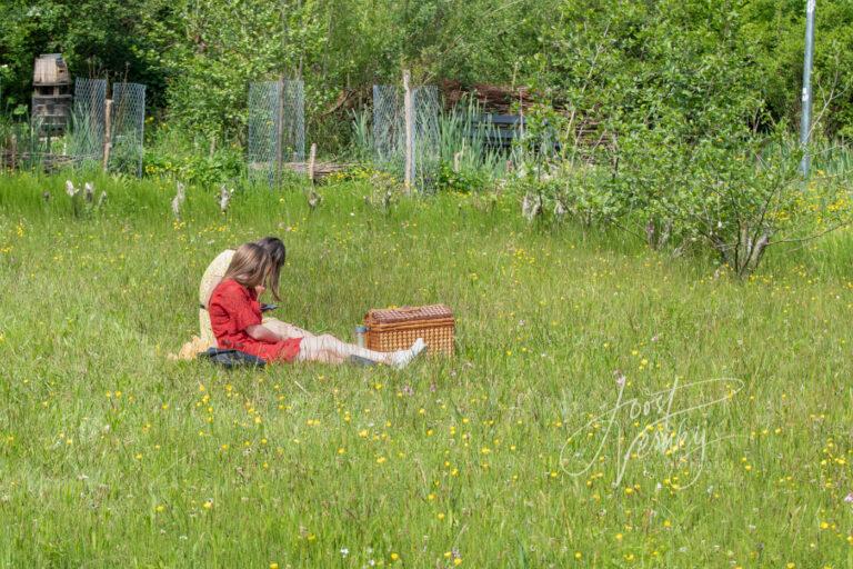 Picknicken in bloemenveldje