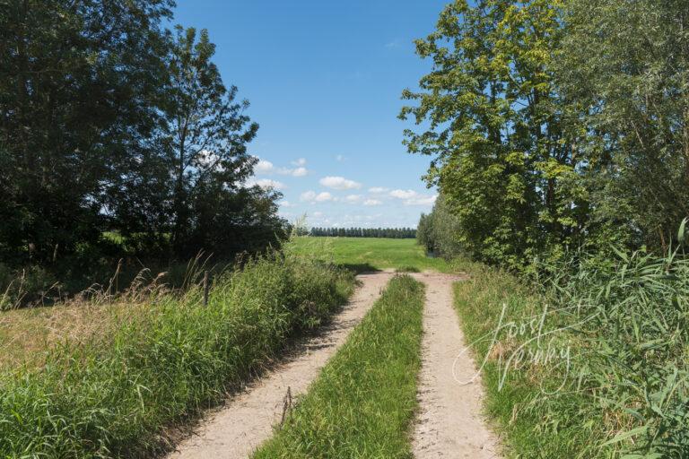 Doorkijkje naar polder achter Wijngaarden