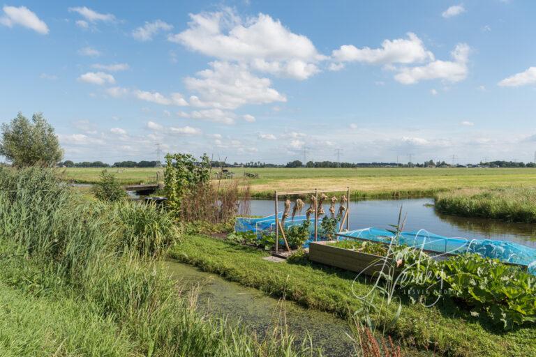 Moestuin aan de Achterwetering