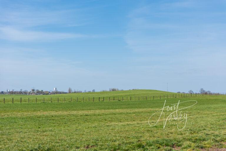 Zanddonk de Schoonenburgse Heuvel