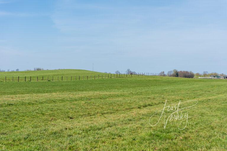 Zanddonk de Schoonenburgse Heuvel