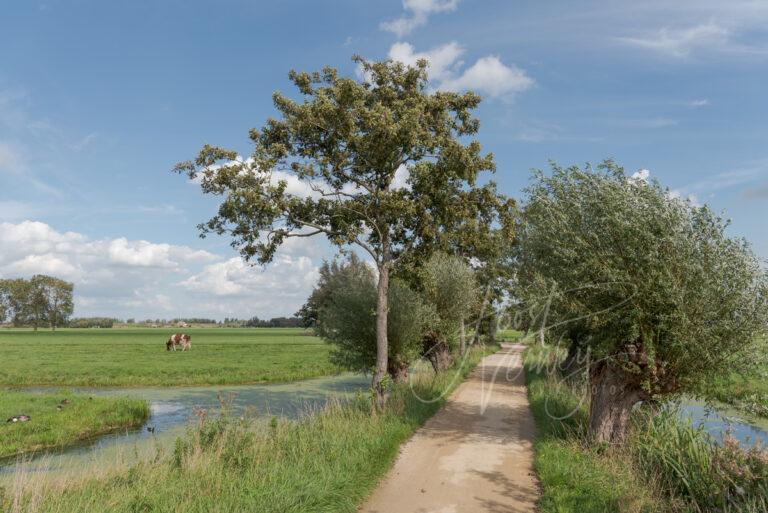 Fietspad op tiendweg