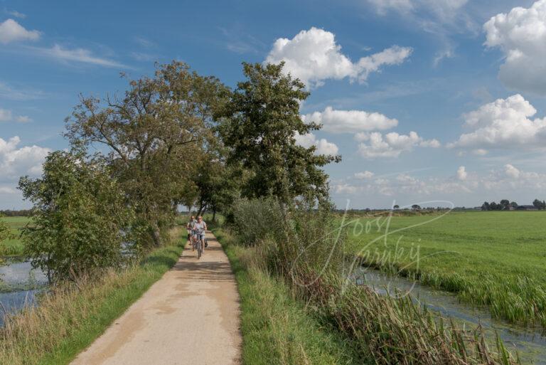 Fietsers op Tiendweg