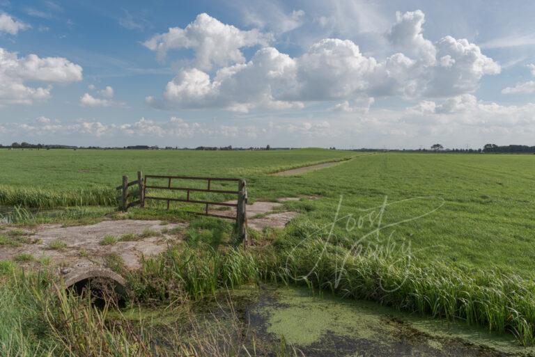 Poldergezicht met hekwerk