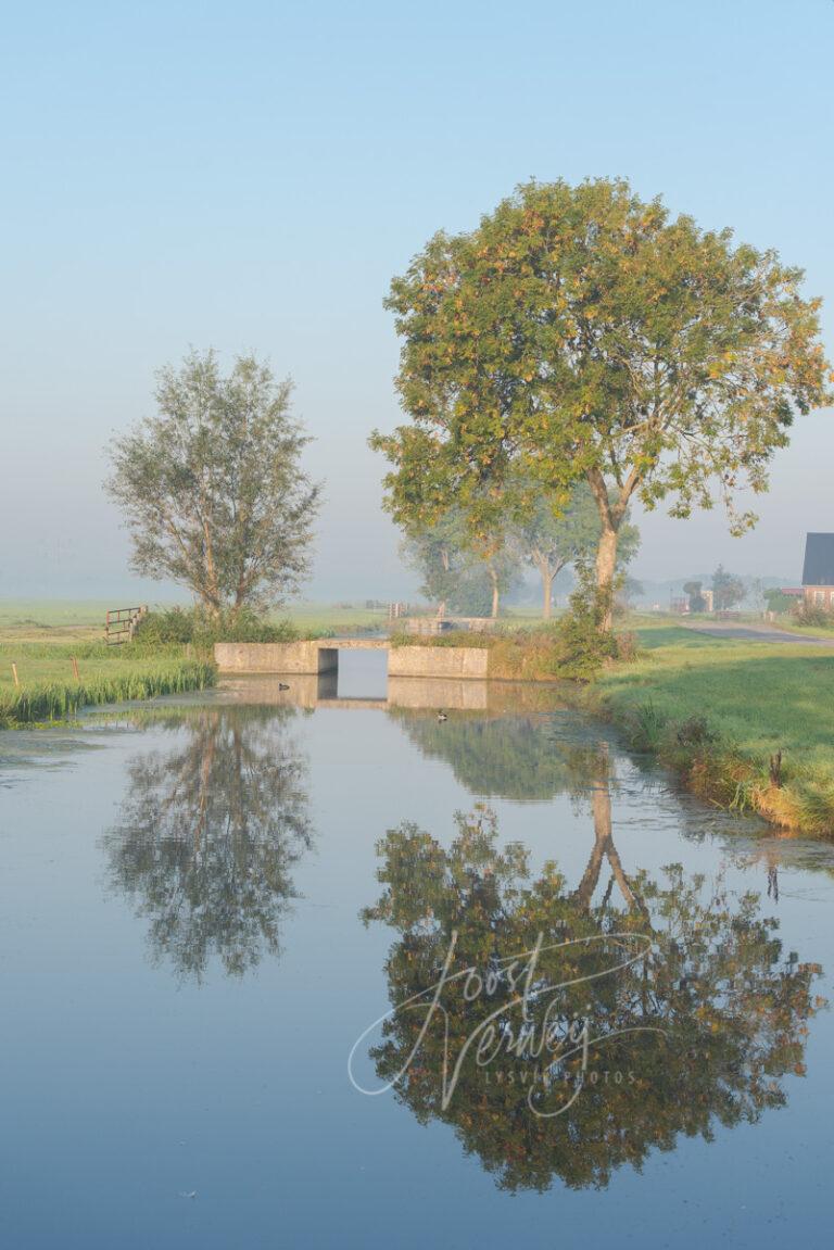 Poldergezicht met bomen en bruggetje