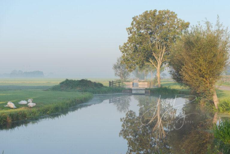 Poldergezicht met bomen en bruggetje