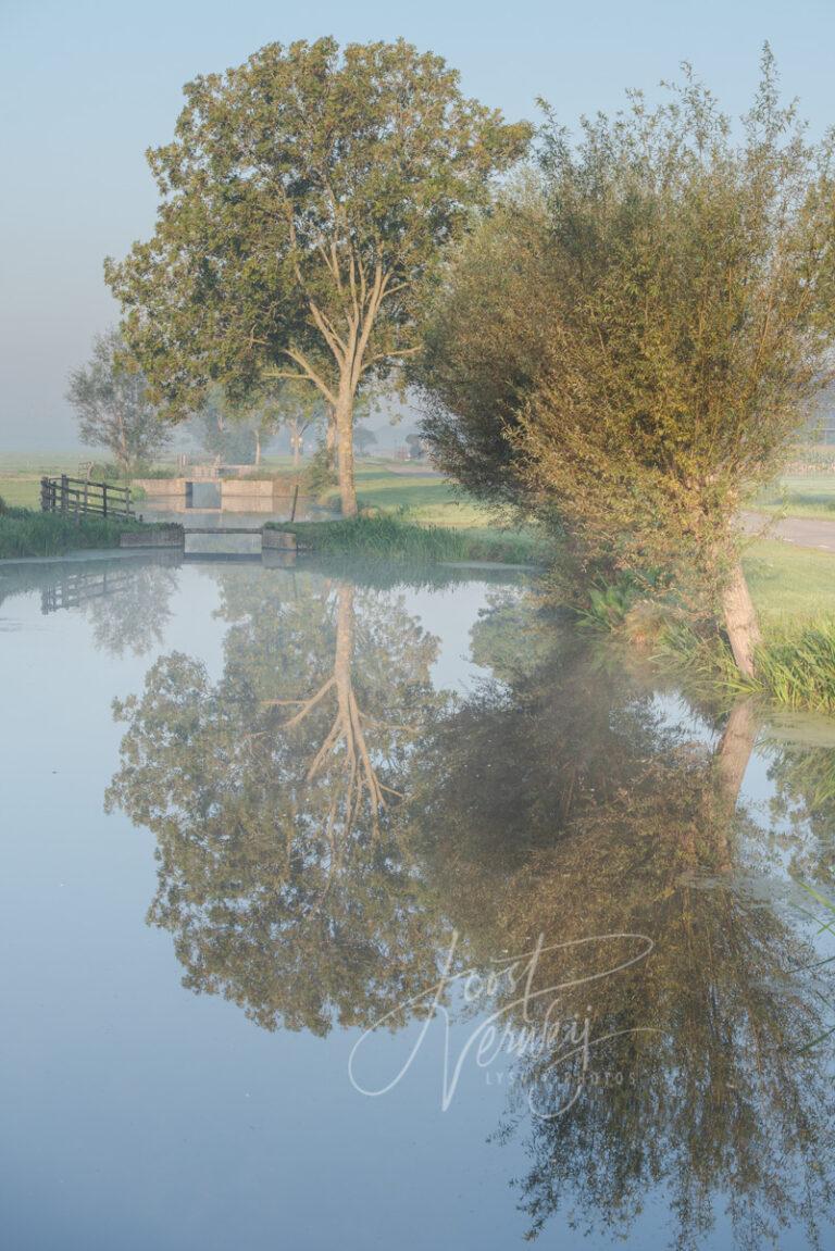 Poldergezicht met bomen en bruggetje