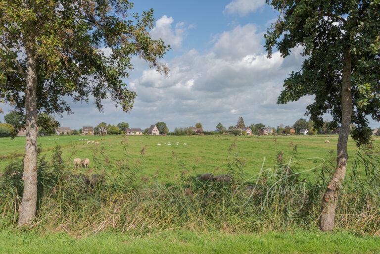 Doorkijkje weilanden bij Ottoland