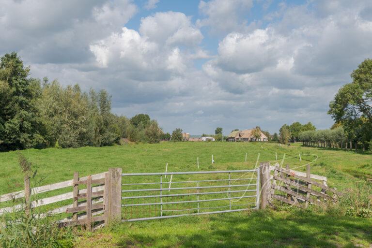 Hekwerk en weilanden bij Ottoland