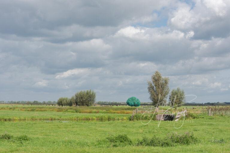 Polders bij Ottoland