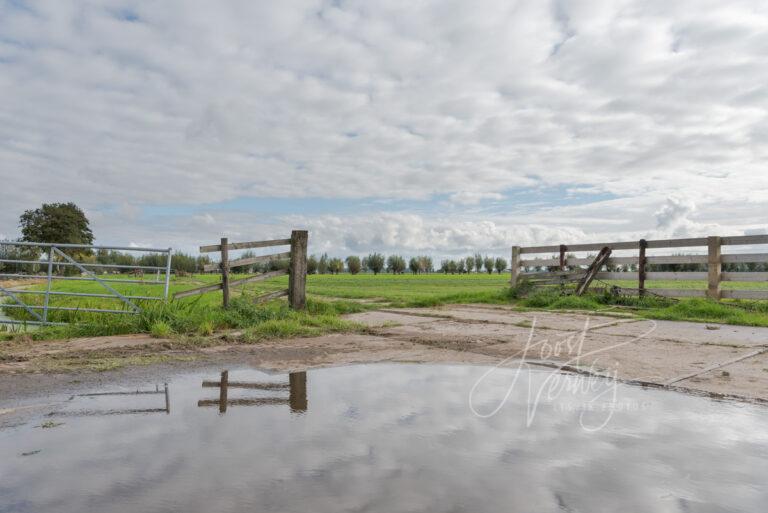 Polderlandschap in de Alblasserwaard