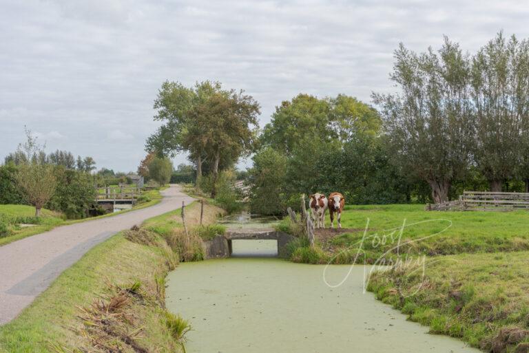 Tiendweg achter Langerak