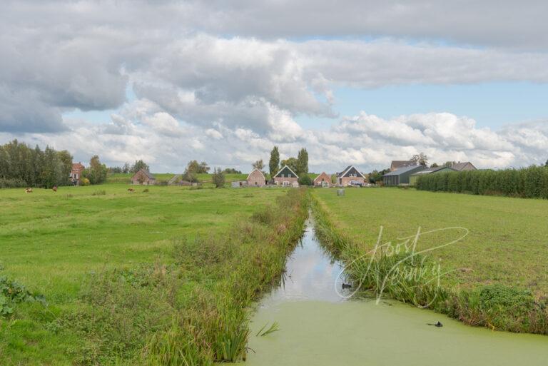 Polder bij Langerak