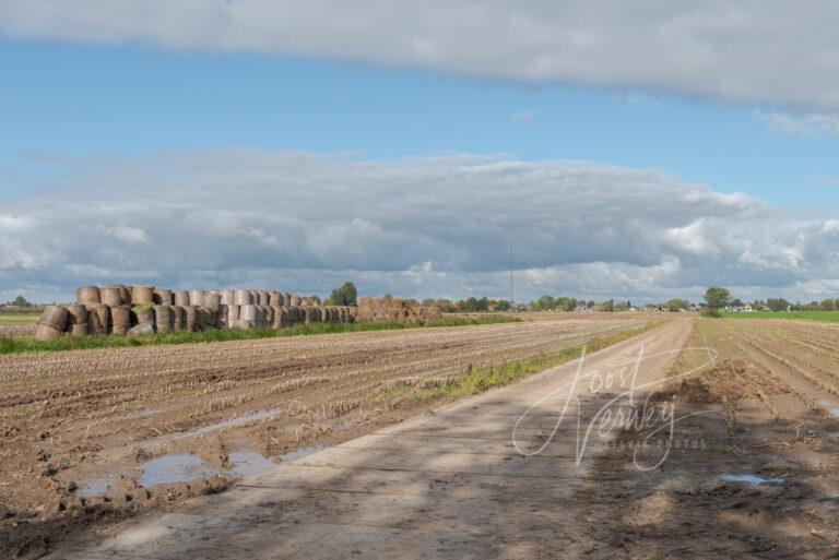 Polderlandschap achter Tienhoven