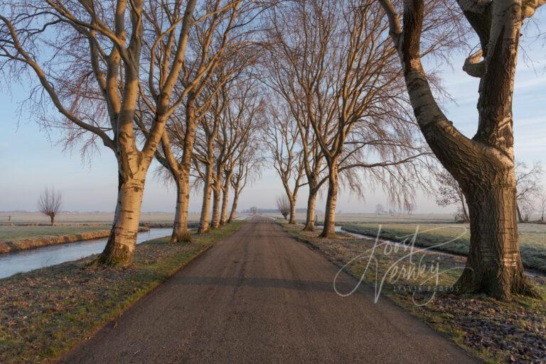 Geerweg in de Alblasserwaard