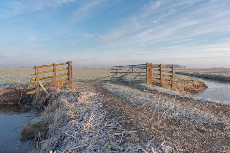 Winters landschap in de Alblasserwaard