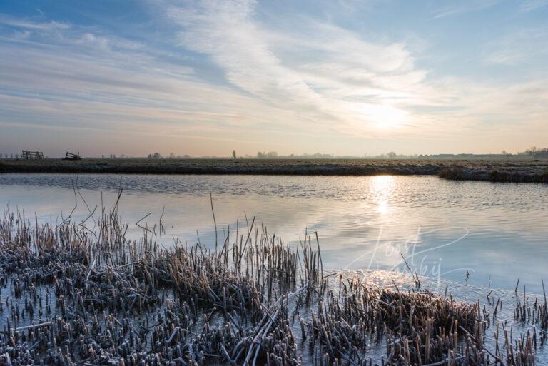 Winter in de Alblasserwaard