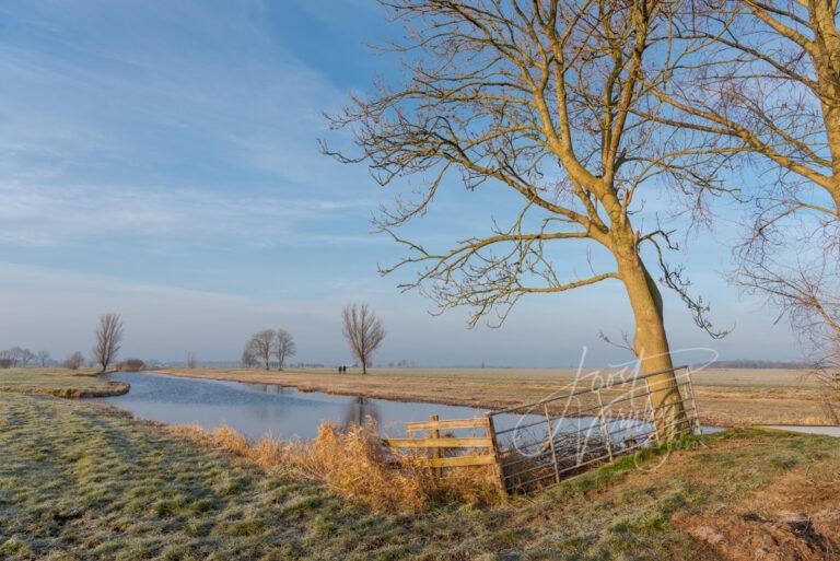 Wintermorgen in de Alblasserwaard