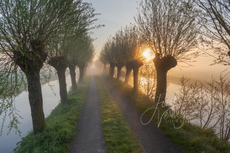 Fietspad in ontwakende natuur