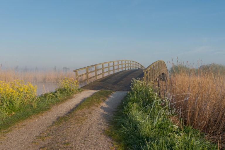 Houten brug in warm ochtenlicht