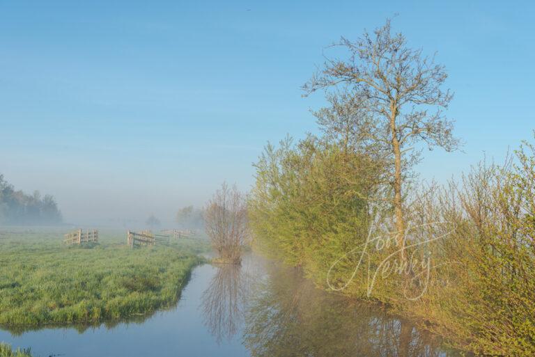 Zonsopkomst in mistig polderlandschap