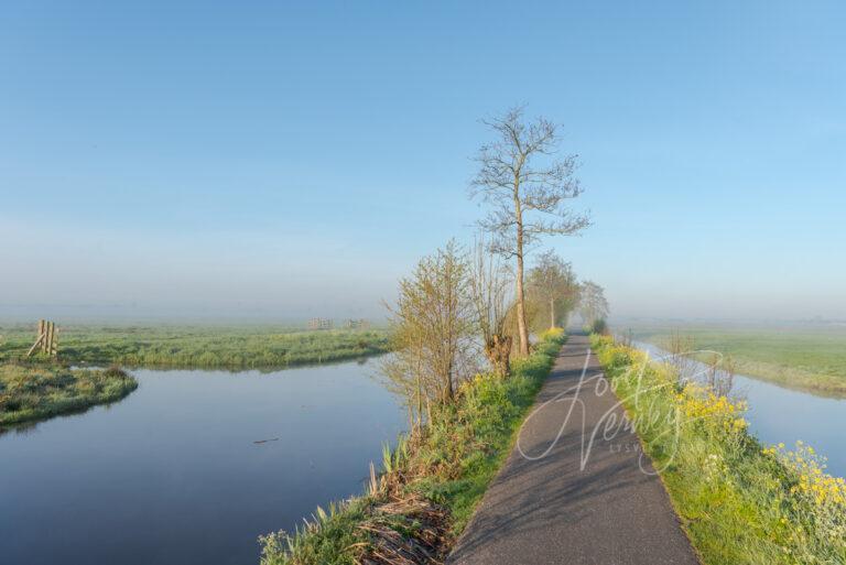 Fietspad in ontwakende natuur