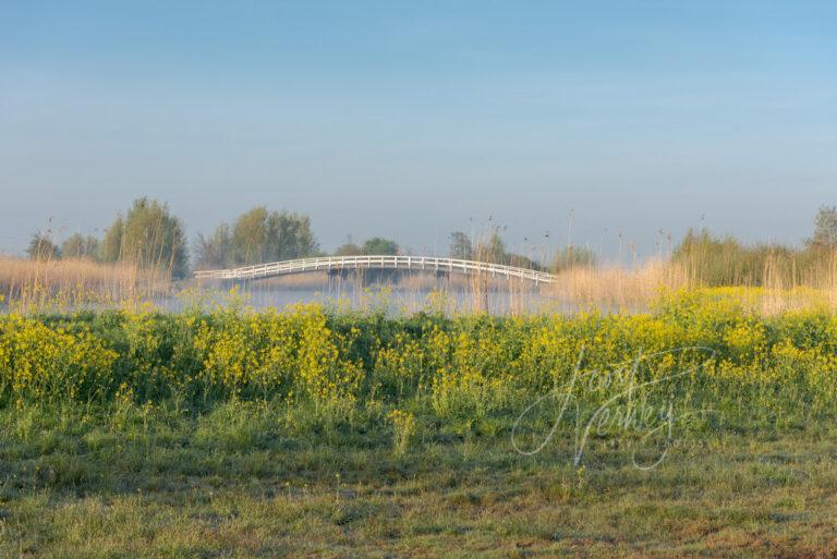 Zijdebrug in warm ochtendlicht