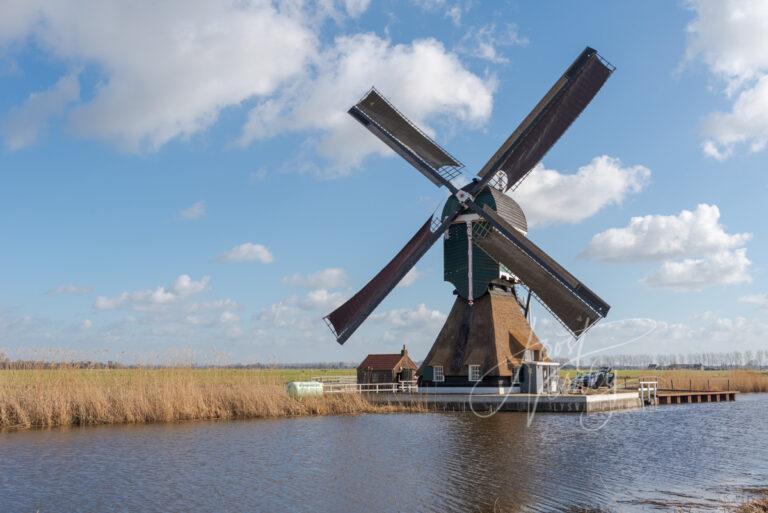 Gelkenes molen in Groot-Ammers