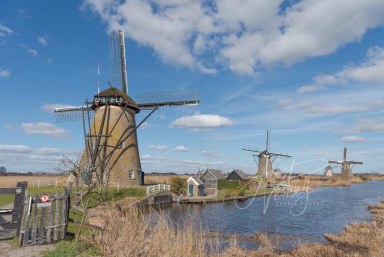 Molen Nederwaard no 8 in Kinderdijk