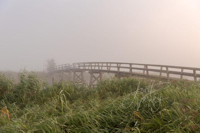 Oude Donkse brug in Donkse Laagten