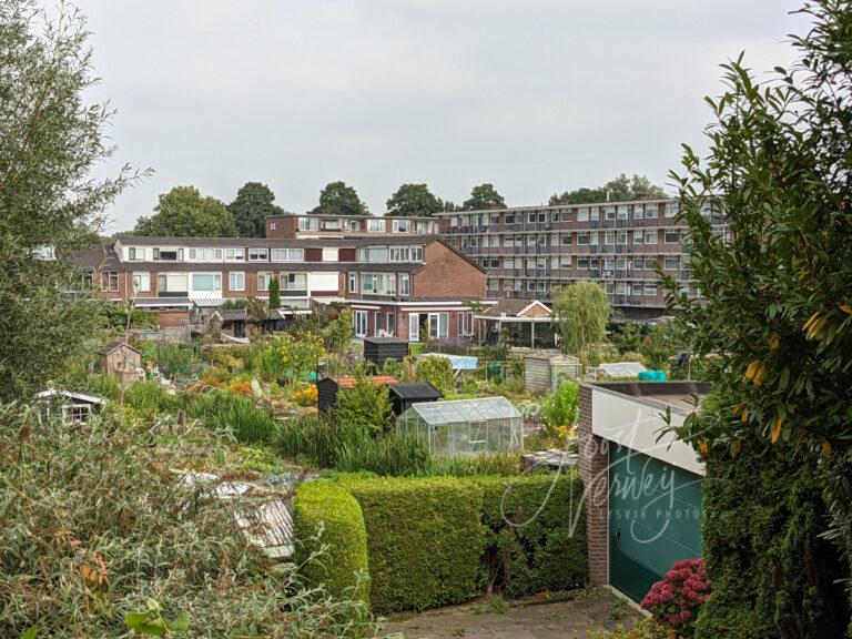 Woningen Oudaenstraat in Westpolder