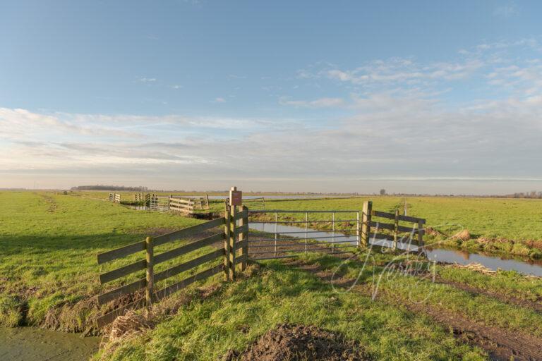 Polderlandschap Donkse Laagten D81012300