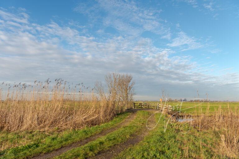 Natuurgebied de Donkse Laagten D81012305